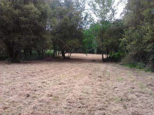 imagen 1 de Vendo finca en O Pereiro de Aguiar