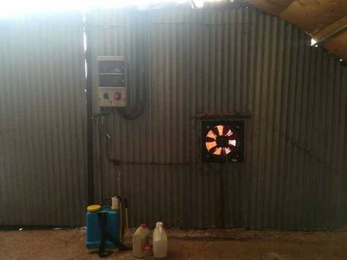 imagen 3 de Venta de invernaderos en Arenillas de San Pelayo