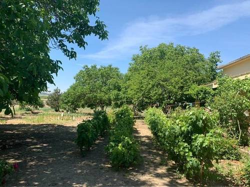 imagen 2 de Venta de finca con casa en Palencia