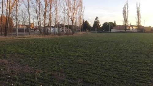 imagen 1 de Venta de terreno en Piña de Campos (Palencia)