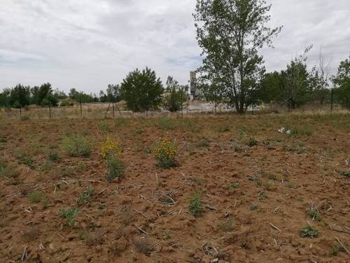 imagen 1 de Venta de finca en Dueñas con buen acceso