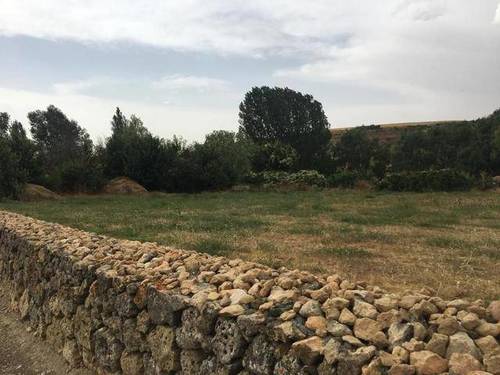 imagen 1 de Vendo terreno en Ampudia (Palencia)
