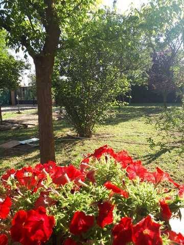 imagen 1 de Venta de finca con merendero en Grijota