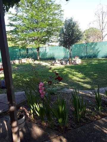 imagen 3 de Venta de finca con merendero en Grijota