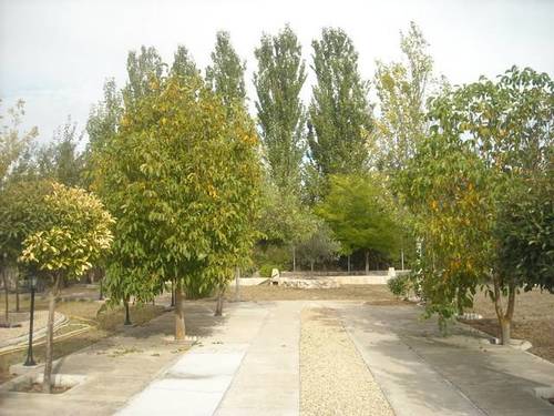 imagen 4 de Venta de finca con merendero en Grijota