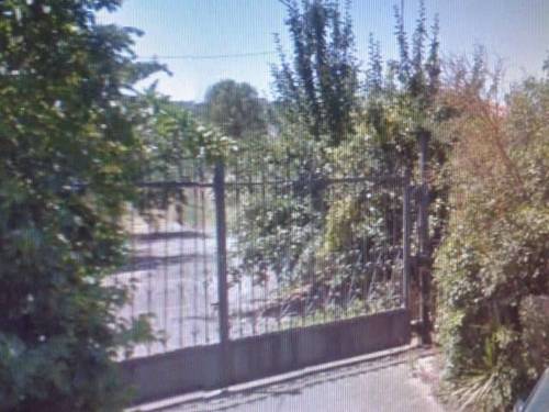 imagen 1 de Venta de finca con casa y nave (Palencia)