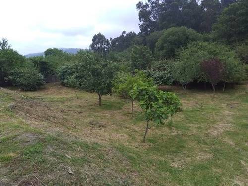 imagen 2 de Venta de terreno en Redondela (Pontevedra)