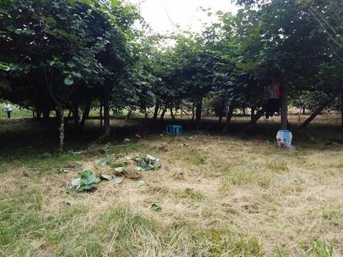 imagen 1 de Venta de terreno en Redondela (Pontevedra)