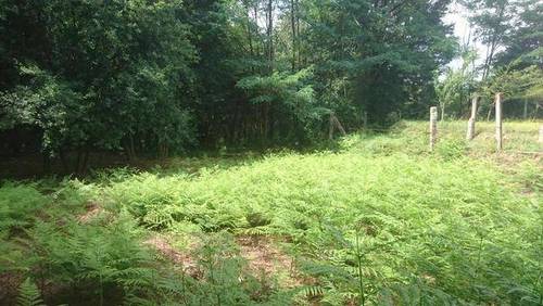 imagen 1 de Venta de finca rústica en Mos (Pontevedra)