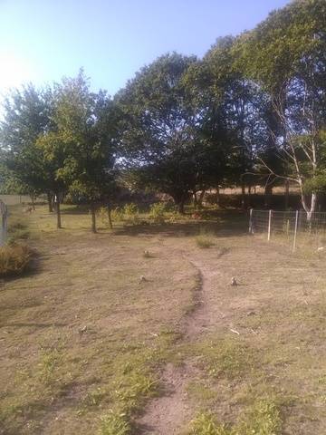 imagen 2 de Venta de finca en Ponte Caldelas (Pontevedra)