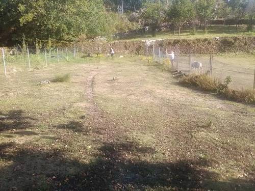 imagen 1 de Venta de finca en Ponte Caldelas (Pontevedra)