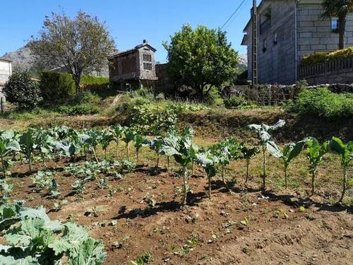 imagen 2 de Venta de finca con horreo en Gondomar (Pontevedra)