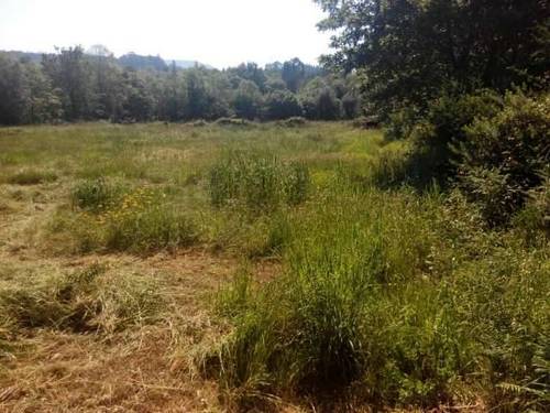 imagen 1 de Venta de finca llana en Tui