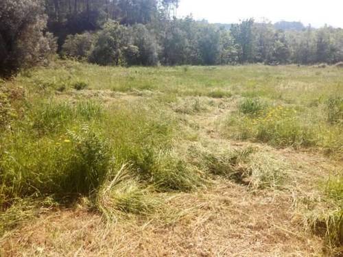 imagen 1 de Venta de finca llana en Tui