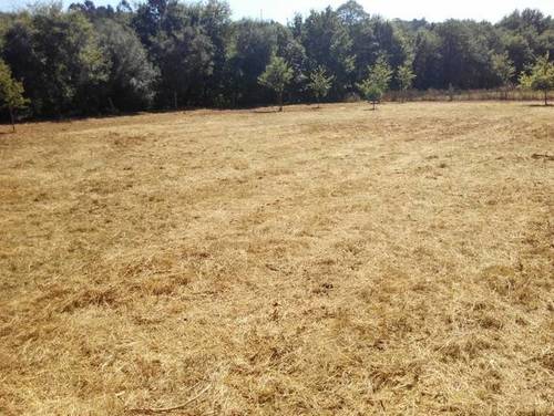 imagen 3 de Venta de finca llana en Tui