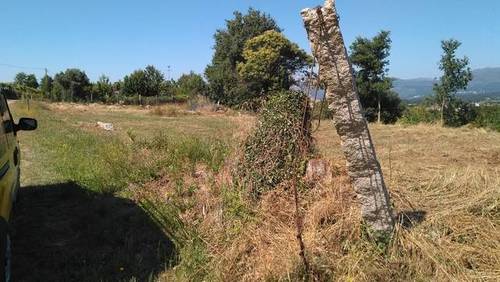 imagen 2 de Venta de finca con buen acceso en Areas (Tui)