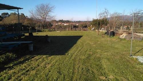 imagen 1 de Venta de finca llana y vallada en Tui (Pontevedra)