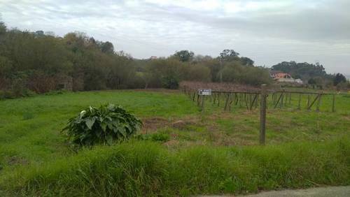 imagen 1 de Venta de terreno tranquilo en Bueu