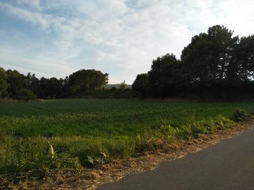 imagen 1 de Venta de finca en Silleda (Pontevedra)