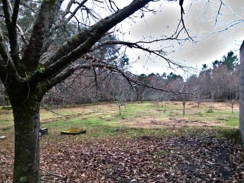 imagen 1 de Venta de finca en Lamosa (Pontevedra)