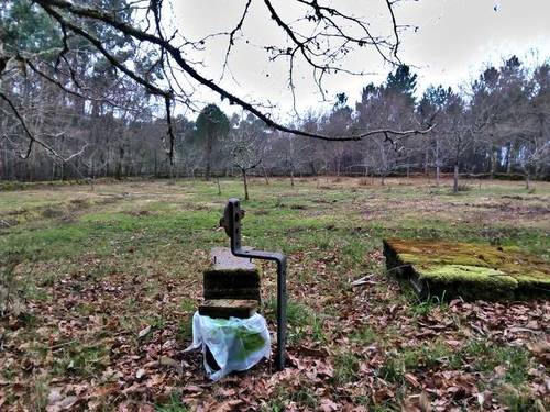 imagen 2 de Venta de finca en Lamosa (Pontevedra)