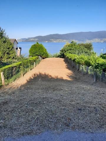 imagen 1 de Venta de terreno en Cesantes
