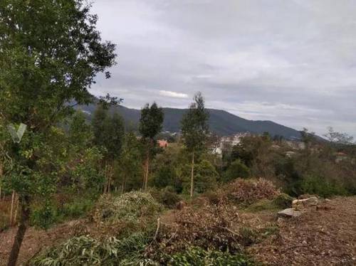 imagen 2 de Venta de precioso terreno rústico en Pontevedra