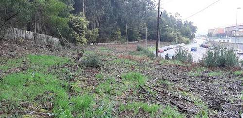 imagen 1 de Venta de terreno en A Guarda (Pontevedra)
