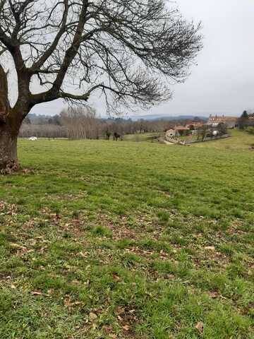 imagen 1 de Venta de preciosa finca en Silleda (Pontevedra)