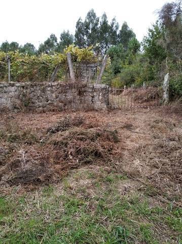 imagen 1 de Venta de finca con viñedo en Ponte Caldelas