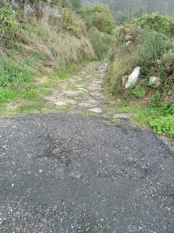 imagen 1 de Venta de finca con viñedo en Ponte Caldelas
