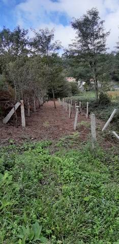 imagen 1 de Venta de parcela en  Mos (Pontevedra)
