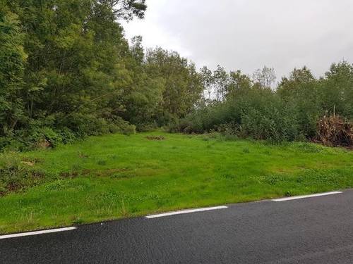 imagen 2 de Venta de parcela con buen acceso en Catoira (Pontevedra)