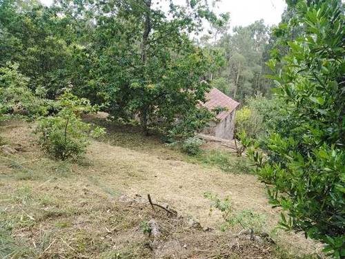 imagen 1 de Venta de terreno con casa en Salceda de Caselas (Pontevedra)