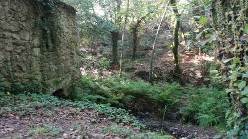 imagen 1 de Venta de monte en Nigrán (Pontevedra)