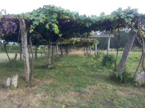 imagen 2 de Venta de finca urbanizable en O Silvoso