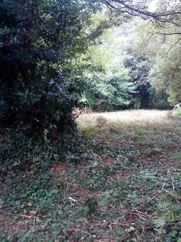 imagen 1 de Venta de terreno cercano a playas en Pontevedra