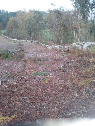 imagen 1 de Venta de finca en Mondariz (Pontevedra)