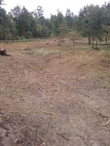 imagen 1 de Venta de finca en Mondariz (Pontevedra)