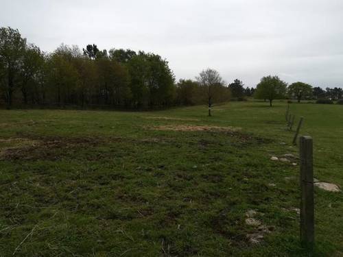 imagen 2 de Venta de terreno en Lalin