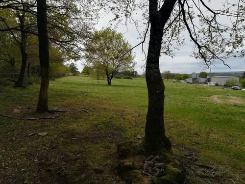 imagen 3 de Venta de terreno en Lalin