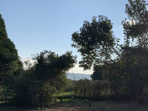imagen 1 de Venta de finca vallada en Bueu