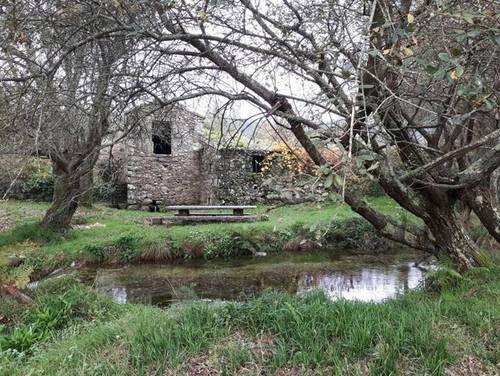 imagen 1 de Venta de finca especial, con Molino y aserradero en O Rosal