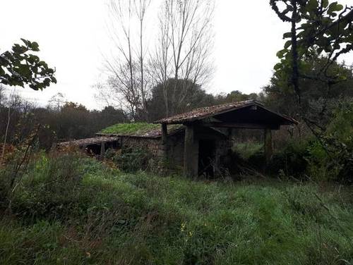 imagen 6 de Venta de finca especial, con Molino y aserradero en O Rosal