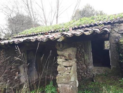 imagen 3 de Venta de finca especial, con Molino y aserradero en O Rosal