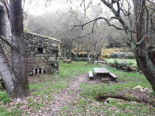 imagen 2 de Venta de finca especial, con Molino y aserradero en O Rosal