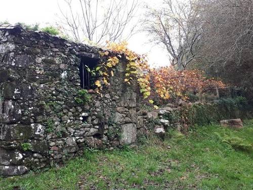imagen 5 de Venta de finca especial, con Molino y aserradero en O Rosal
