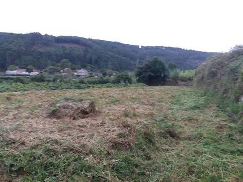 imagen 1 de Venta de terreno llano con manantial en Tomiño