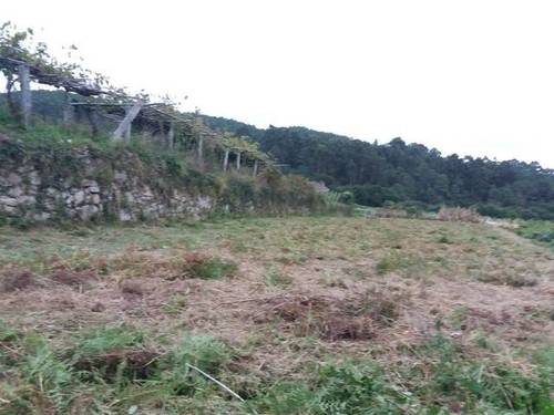imagen 1 de Venta de terreno llano con manantial en Tomiño