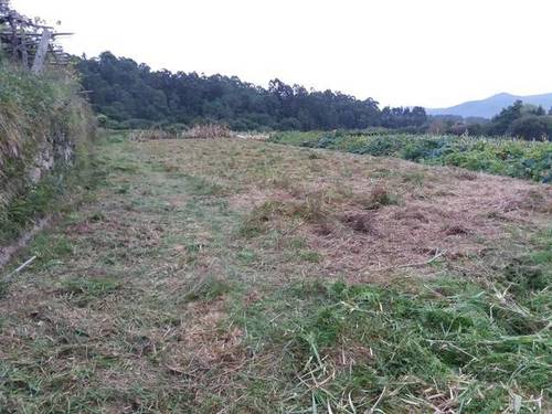imagen 2 de Venta de terreno llano con manantial en Tomiño